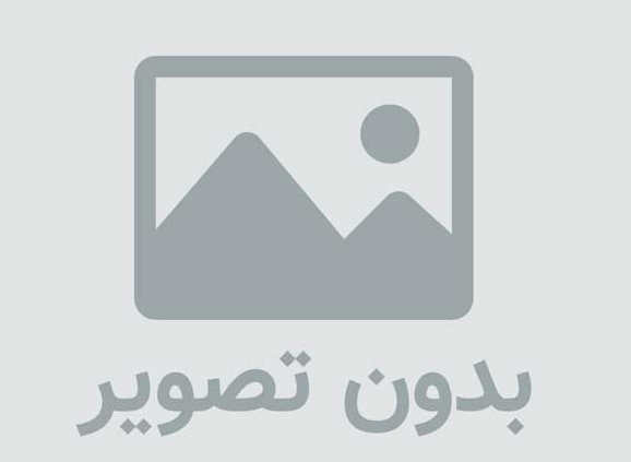 پاورپوینت الگوریتم کلونی زنبورعسل